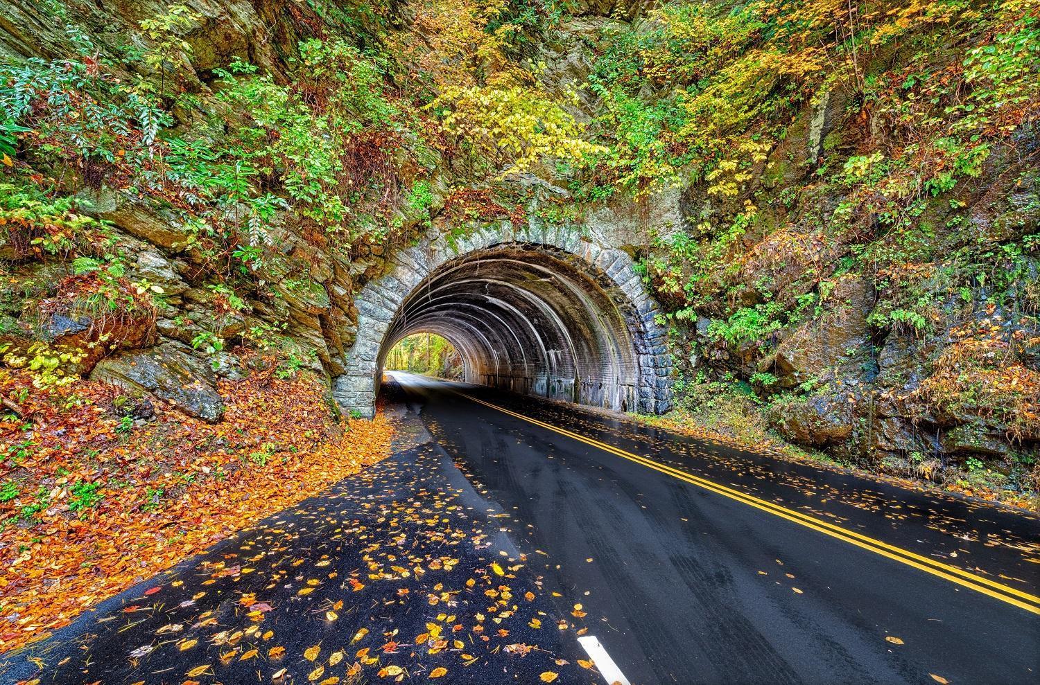 A Million Dollar View- Get 951 Worth Of Free Area Attraction Tickets For Each Paid Day! Villa Gatlinburg Kültér fotó