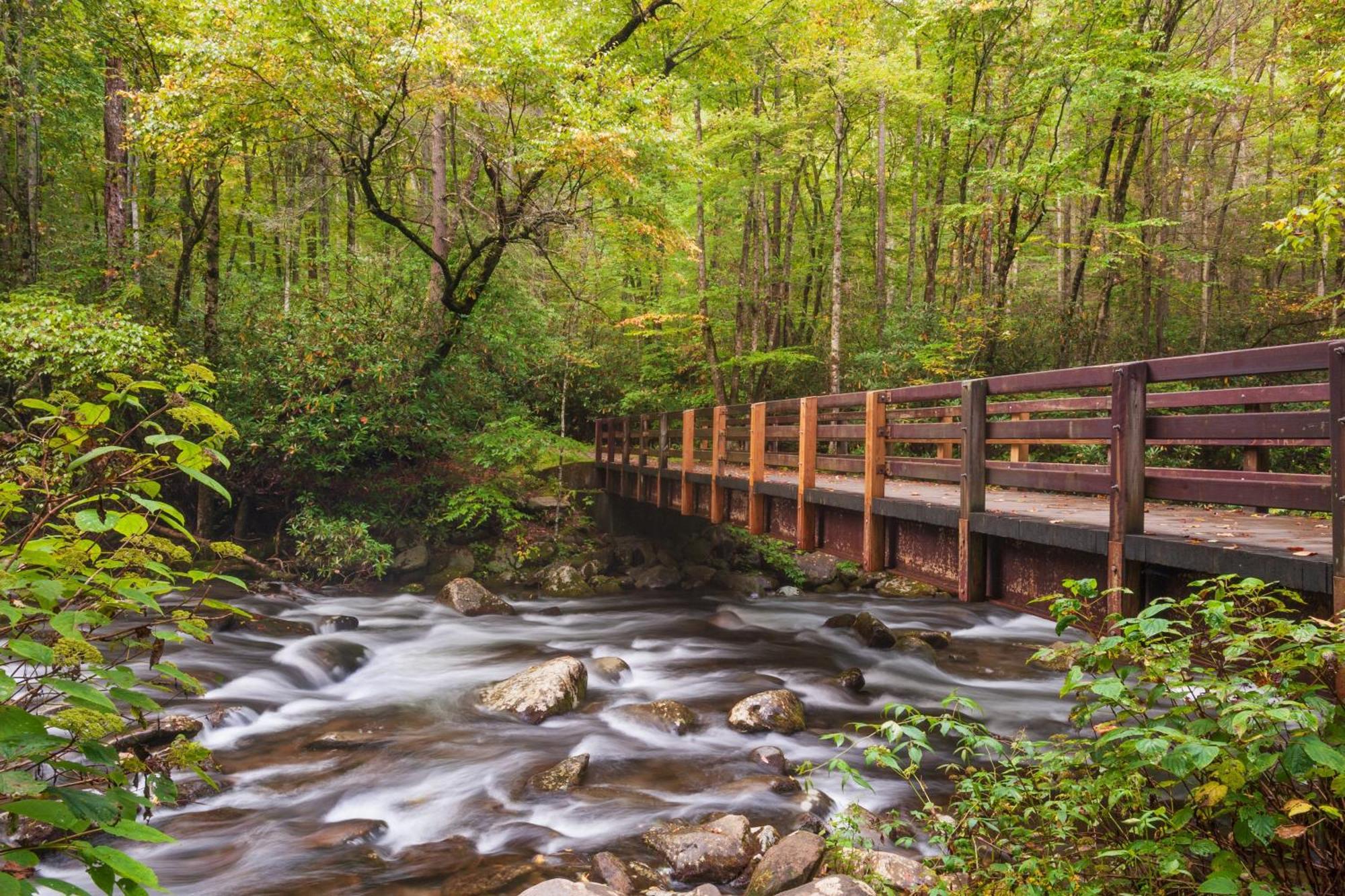 A Million Dollar View- Get 951 Worth Of Free Area Attraction Tickets For Each Paid Day! Villa Gatlinburg Kültér fotó