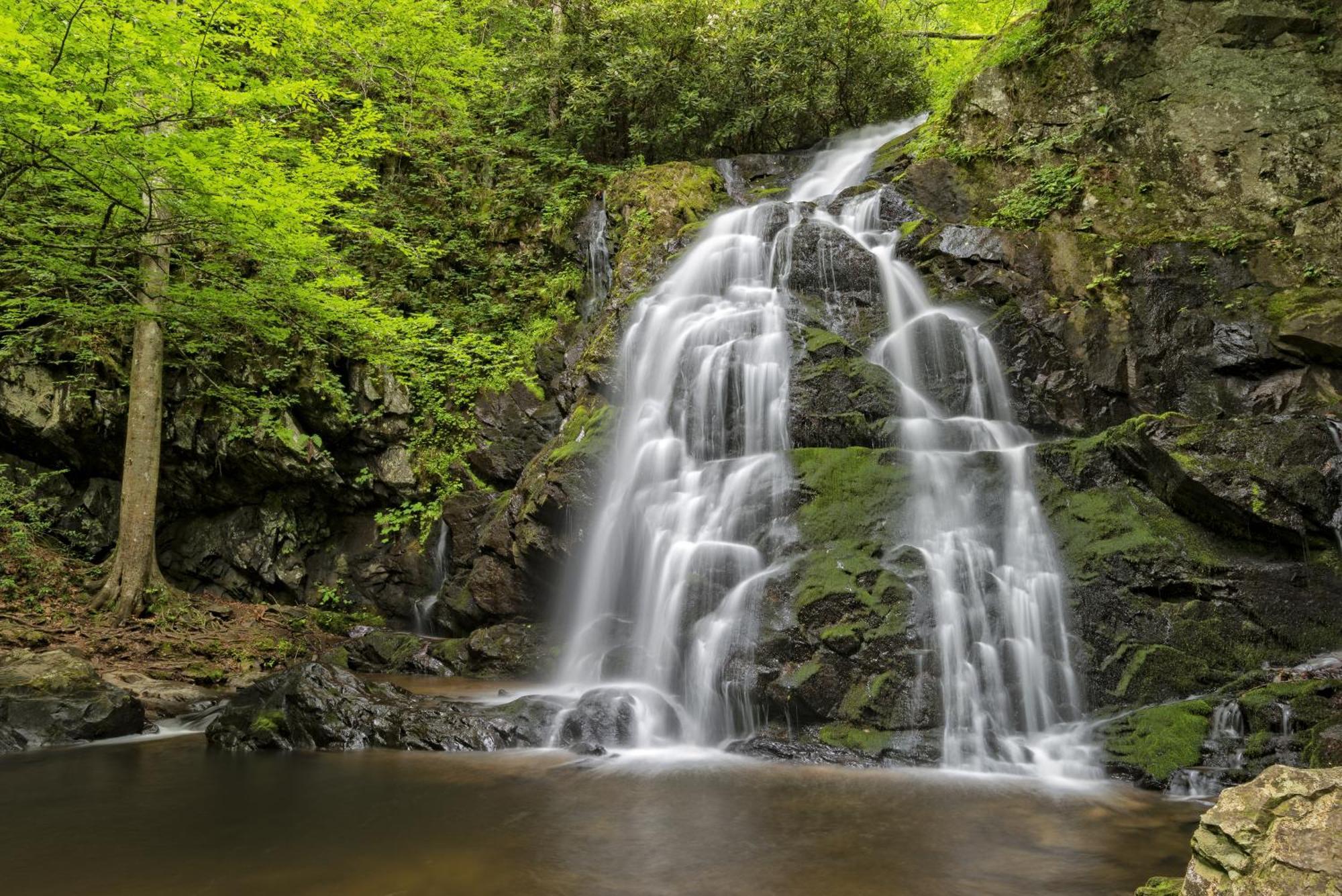 A Million Dollar View- Get 951 Worth Of Free Area Attraction Tickets For Each Paid Day! Villa Gatlinburg Kültér fotó